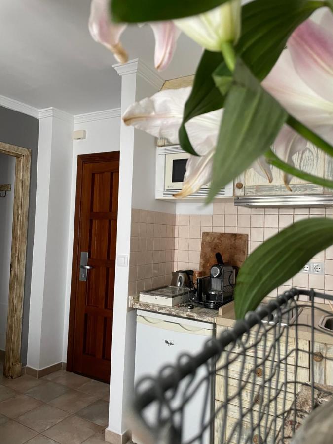 דירות Charming Studio In טריפה מראה חיצוני תמונה